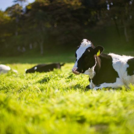 Photo by Andy Kelly on Unsplash