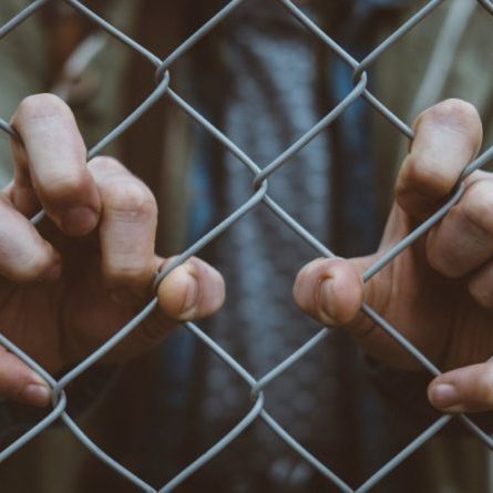 Photo by Mitch Lensink on Unsplash