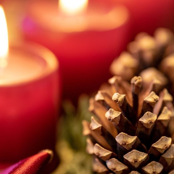 Photo by Daniel Seßler on Unsplash