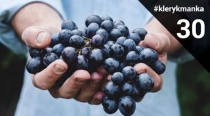 Photo by Maja Petric on Unsplash