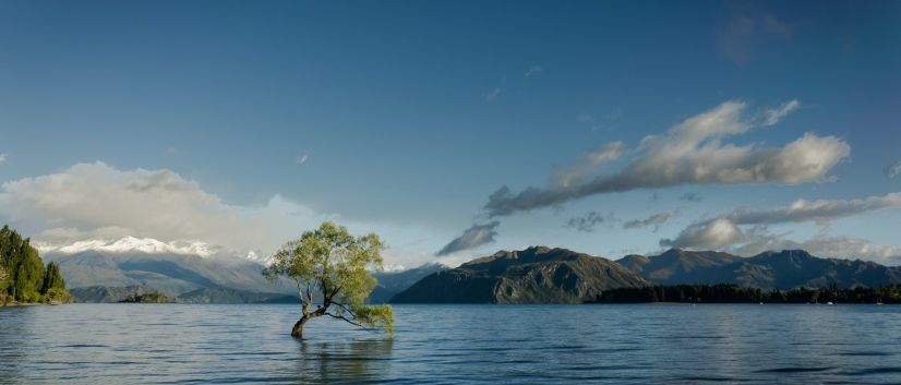 unsplash.com